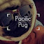 Pacific Pug Productions