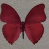 user-avatar