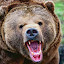 Russbear (Owner)