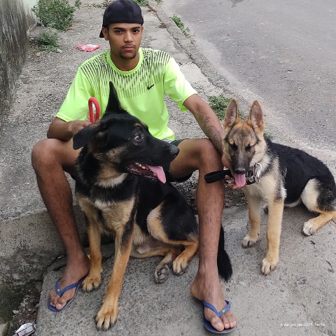 Ezequiel Araujo (Condutor)