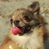 Yutao