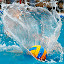 WaterpoloFotos by Quintín (मालिक)