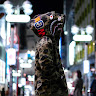Bape Pullover Hoodies