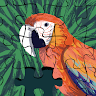 Christian Steven