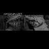 عذراء