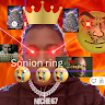marcelhowardhpastudentsnet