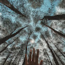 Created by