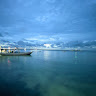 Wahid Asyrofi