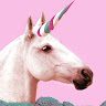 pink horse
