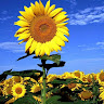 Created by