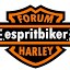 DIDBOUM espritbiker