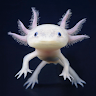 3satva's Avatar