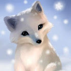 用户: Avika Bhagat