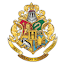 Hogwarts School21