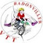 CCVTT BADONVILLER (Owner)