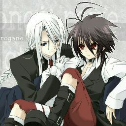 Akira y Shirogane