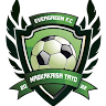 Writer: Evergreen Football Academy