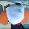 Writer: Socks Stray