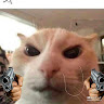 Cleaningsponge member profile picture