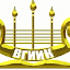 ВГИИК Волгоград (Owner)