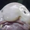 userThumbnail
