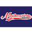 Northeastern Little League (Owner)