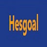 hesgoalfootball