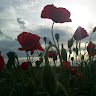 Created by