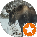 Granite Creek Campground - Moose Pass, Alaska