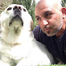 Shahar Shedo's photo