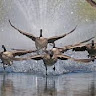View user_x67ubxons4oa65mk's Profile