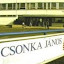 Csonka János (Owner)