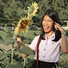 Created by