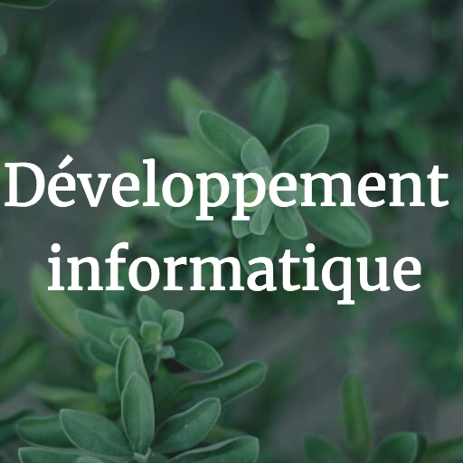 développement informatique