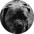 Avatar de Jérémy.o