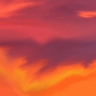 z8230425968's Avatar