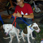 Utente: jailer ortiz amor