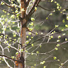 user_jyuxwqbk0difsscl member profile picture