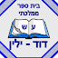 דוד ילין (Owner)