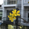 Created by
