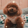 nolantangagtw673's Avatar