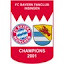 FC Bayern Fanclub Insingen Champions 2001 (Owner)