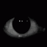 [/-JustYourAverageArtist-\]