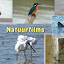 Natuur & reisfilms / nature & travel Roland Rondou