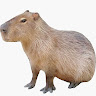 excited-horn2's avatar