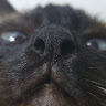 userThumbnail