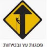 יוסי פסגות's photo