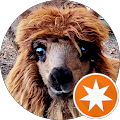 Kletterzentrum Petzen - 
