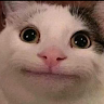 userThumbnail