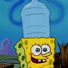 user_wfzhax2su2wtt17m member profile picture